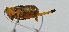  ( - Con172)  @12 [ ] CreativeCommons - Attribution (2010) Zhi-Jun Zhou Centre for Biodiversity Genomics