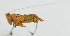  ( - Con173)  @12 [ ] CreativeCommons - Attribution (2010) Zhi-Jun Zhou Centre for Biodiversity Genomics