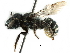  ( - CCDB-09855 D11)  @15 [ ] CreativeCommons - Attribution (2016) CBG Photography Group Centre for Biodiversity Genomics