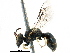  (Hylaeus xanthopoda - CCDB-09855 E04)  @11 [ ] CreativeCommons - Attribution (2016) CBG Photography Group Centre for Biodiversity Genomics