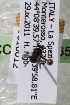  (Hylaeus ITA06 - CCDB-15265-B11)  @11 [ ] CreativeCommons - Attribution Non-Commercial Share-Alike (2012) Packer Collection York University York University