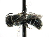  ( - 06744E08-THA)  @12 [ ] CreativeCommons - Attribution (2016) CBG Photography Group Centre for Biodiversity Genomics