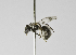  ( - B3254-B08)  @13 [ ] CreativeCommons - Attribution Non-Commercial Share-Alike (2010) Unspecified York University