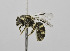  ( - B3265-C03)  @14 [ ] CreativeCommons - Attribution Non-Commercial Share-Alike (2010) Unspecified York University
