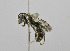  ( - B3265-D05)  @14 [ ] CreativeCommons - Attribution Non-Commercial Share-Alike (2010) Unspecified York University