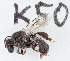  ( - CCDB-30343 E02)  @13 [ ] CreativeCommons - Attribution (2015) Laurence Packer York University