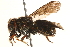  (Epanthidium autumnale - 06708H04-BRA)  @11 [ ] CreativeCommons - Attribution (2016) CBG Photography Group Centre for Biodiversity Genomics