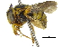  ( - 06730H07-ISR)  @11 [ ] CreativeCommons - Attribution (2015) CBG Photography Group Centre for Biodiversity Genomics