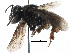  ( - 06743C06-ARG)  @14 [ ] CreativeCommons - Attribution (2016) CBG Photography Group Centre for Biodiversity Genomics