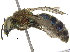  ( - 06743E11-PRY)  @14 [ ] CreativeCommons - Attribution (2016) CBG Photography Group Centre for Biodiversity Genomics