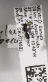  (Hylaeus MEX04 - 04745E03-MEX)  @12 [ ] CreativeCommons - Attribution Non-Commercial Share-Alike (2010) Unspecified York University