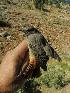  ( - NHMO-23935)  @14 [ ] Unspecified (default): All Rights Reserved  Unspecified Unspecified