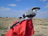  ( - NHMO-321)  @11 [ ] Unspecified (default): All Rights Reserved  Unspecified Unspecified