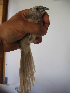  ( - NHMO-290)  @12 [ ] Unspecified (default): All Rights Reserved  Unspecified Unspecified