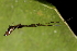 ( - GJA10064)  @11 [ ] Copyright (2022) Greg Anderson Queensland Museum