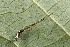  ( - GJA10203)  @11 [ ] Copyright (2022) Greg Anderson Queensland Museum