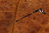  ( - GJA10322)  @11 [ ] Copyright (2022) Greg Anderson Queensland Museum