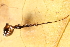 ( - GJA10519)  @11 [ ] Copyright (2022) Greg Anderson Queensland Museum