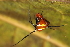  ( - GJA10673)  @11 [ ] Copyright (2022) Greg Anderson Queensland Museum
