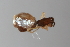  ( - GJA10679)  @11 [ ] Copyright (2022) Greg Anderson Queensland Museum