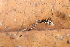  ( - GJA10745)  @11 [ ] Copyright (2022) Greg Anderson Queensland Museum