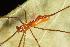  ( - GJA12324)  @11 [ ] Copyright (2023) Greg Anderson Queensland Museum