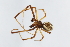  ( - GJA12345)  @11 [ ] Copyright (2023) Greg Anderson Queensland Museum