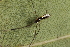  ( - GJA12624)  @11 [ ] Copyright (2023) Greg Anderson Queensland Museum