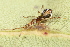  ( - GJA12635)  @11 [ ] Copyright (2023) Greg Anderson Queensland Museum