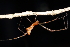  ( - GJA12483)  @11 [ ] Copyright (2024) Greg Anderson Queensland Museum