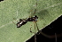  ( - GJA9754)  @11 [ ] Copyright (2021) Greg Anderson Queensland Museum