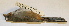  ( - MBM 17625)  @13 [ ] Unspecified (default): All Rights Reserved  Unspecified Unspecified