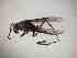  (EpiponiniGEN sp. 1 - BONVB-0172)  @11 [ ] Unspecified (default): All Rights Reserved  Unspecified Unspecified