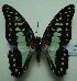 ( - UMKL-JJW0020)  @11 [ ] Unspecified (default): All Rights Reserved  Unspecified Unspecified