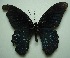  ( - UMKL-JJW0038)  @13 [ ] Unspecified (default): All Rights Reserved  Unspecified Unspecified