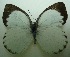  ( - UMKL-JJW0043)  @13 [ ] Unspecified (default): All Rights Reserved  Unspecified Unspecified