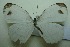  ( - UMKL-JJW0100)  @11 [ ] Unspecified (default): All Rights Reserved  Unspecified Unspecified