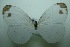  ( - UMKL-JJW0101)  @11 [ ] Unspecified (default): All Rights Reserved  Unspecified Unspecified