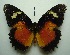  ( - UMKL-JJW0137)  @12 [ ] Unspecified (default): All Rights Reserved  Unspecified Unspecified