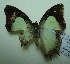  ( - UMKL-JJW0299)  @12 [ ] Unspecified (default): All Rights Reserved  Unspecified Unspecified