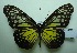  ( - UMKL-JJW0304)  @14 [ ] Unspecified (default): All Rights Reserved  Unspecified Unspecified