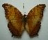  ( - UMKL-JJW0336)  @13 [ ] Unspecified (default): All Rights Reserved  Unspecified Unspecified