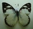  ( - UMKL-SJ006)  @12 [ ] Unspecified (default): All Rights Reserved  Unspecified Unspecified