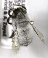  (Megachile CHL03 - CCDB-09981 F06)  @13 [ ] Copyright (2011) Laurence Packer York University
