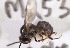  ( - CCDB-30385 E01)  @12 [ ] CreativeCommons - Attribution (2017) Laurence Packer York University