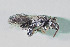  ( - CCDB-28313 E10)  @11 [ ] CreativeCommons - Attribution (2016) Laurence Packer York University