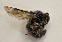  (Colletes petropolitanus - CCDB-24582 H11)  @13 [ ] CreativeCommons - Attribution (2016) Laurence Packer York University