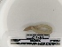  ( - DFM-0698)  @11 [ ] by-nc-sa (2021) Thibaud Decaëns Universite Montpellier, CEFE Lab
