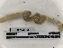 ( - DFM-0770)  @11 [ ] by-nc-sa (2021) Thibaud Decaëns Universite Montpellier, CEFE Lab