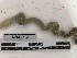  ( - DFM-0772)  @11 [ ] by-nc-sa (2021) Thibaud Decaëns Universite Montpellier, CEFE Lab